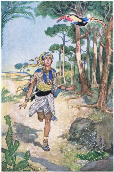 Next morning he followed the bird as it flew from tree to tree by René Bull